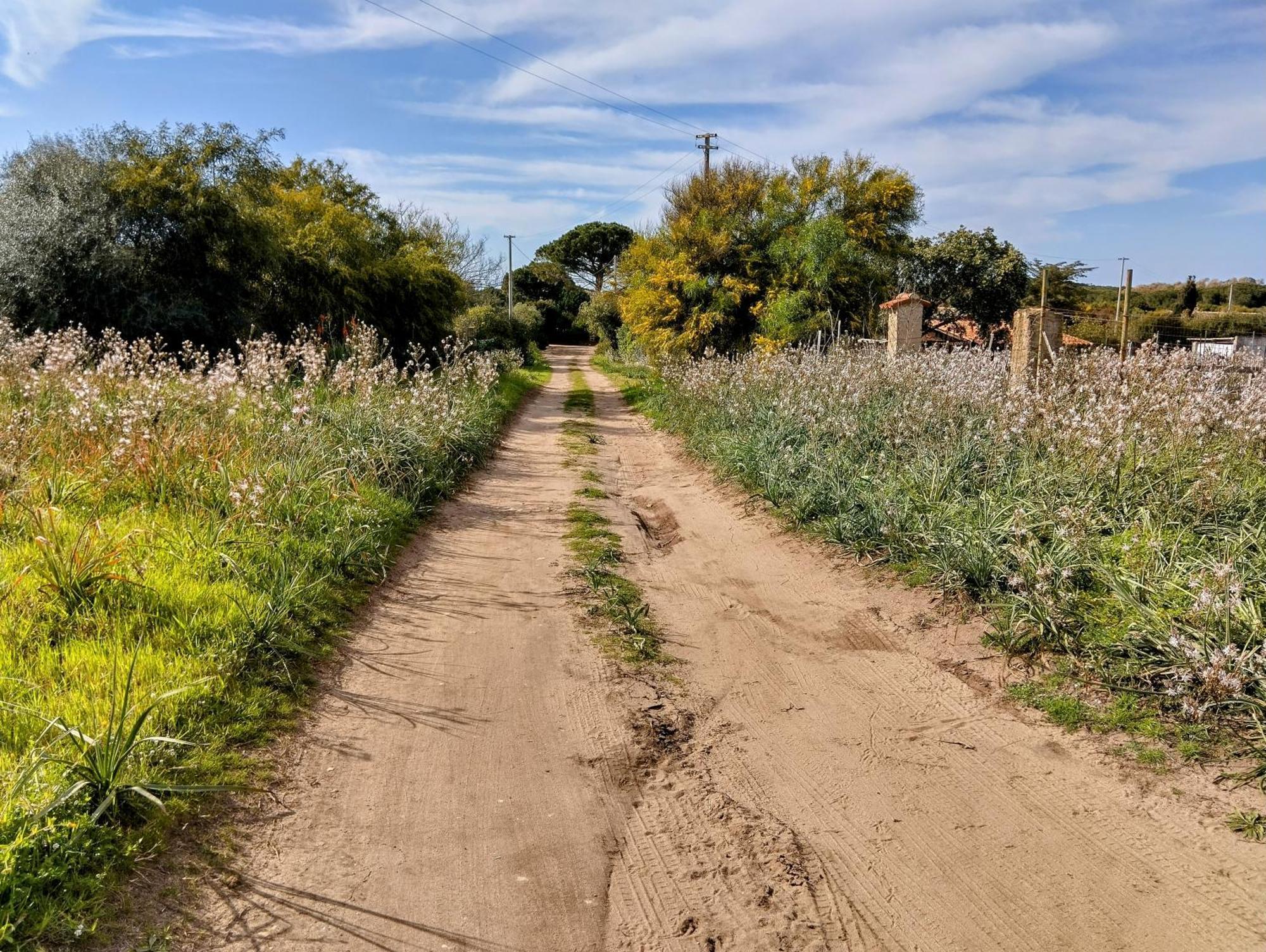 Apartmán Terra Valledoria  Exteriér fotografie