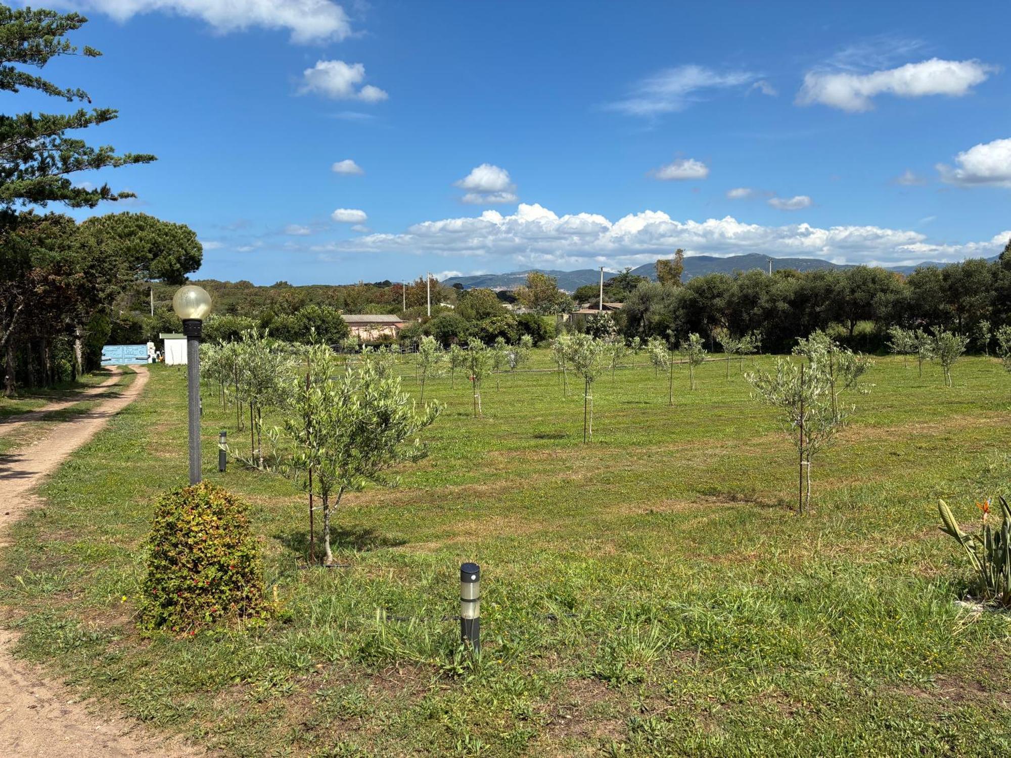 Apartmán Terra Valledoria  Exteriér fotografie