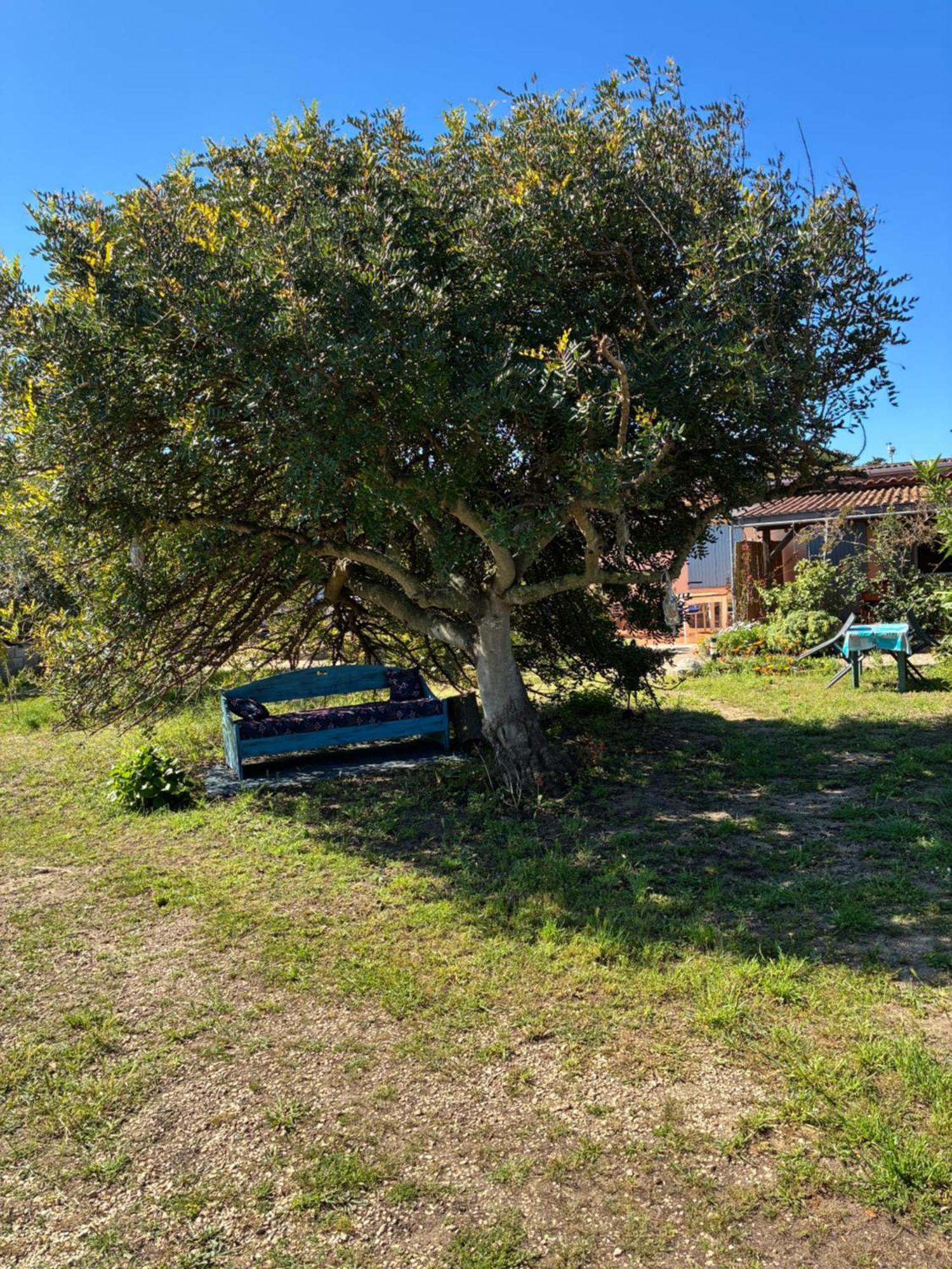 Apartmán Terra Valledoria  Exteriér fotografie